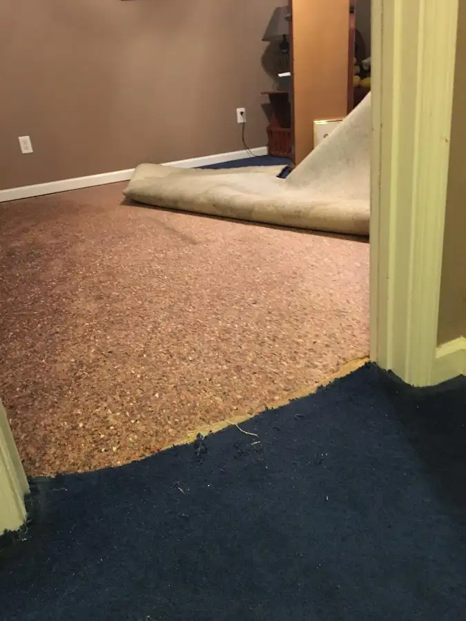 Carpet pad removal revealing water damage during Drying & Dehumidification in Temple Terrace