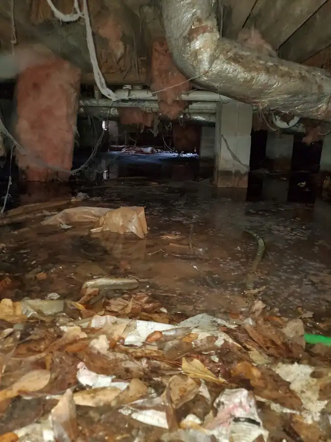 Crawl space flood assessment for Leak Detection & Repair in Temple Terrace