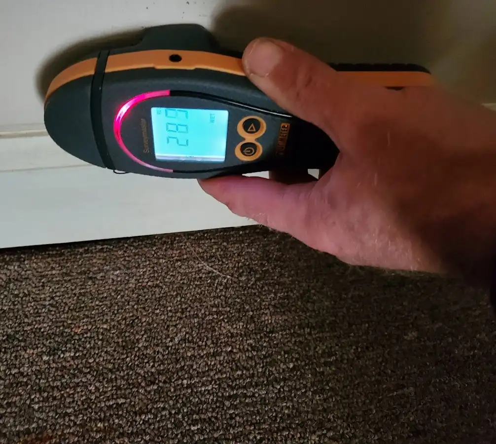 Moisture detection at baseboard during Mold Inspection & Testing in Temple Terrace