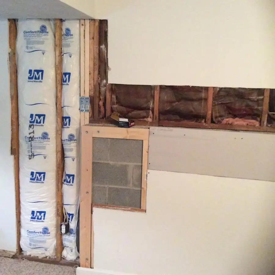 Wall insulation replacement during Odor Removal & Deodorization in Temple Terrace